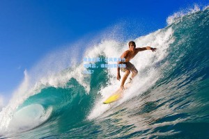 现金悬赏！全民竞猜热潮再起，谁能加冕预测之王？