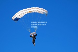 羽生结弦宣布转战职业花滑领域 开启冰上表演新篇章