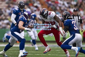 前法国主帅多梅内克直言，里昂新星谢尔基无缘国家队世界杯大名单